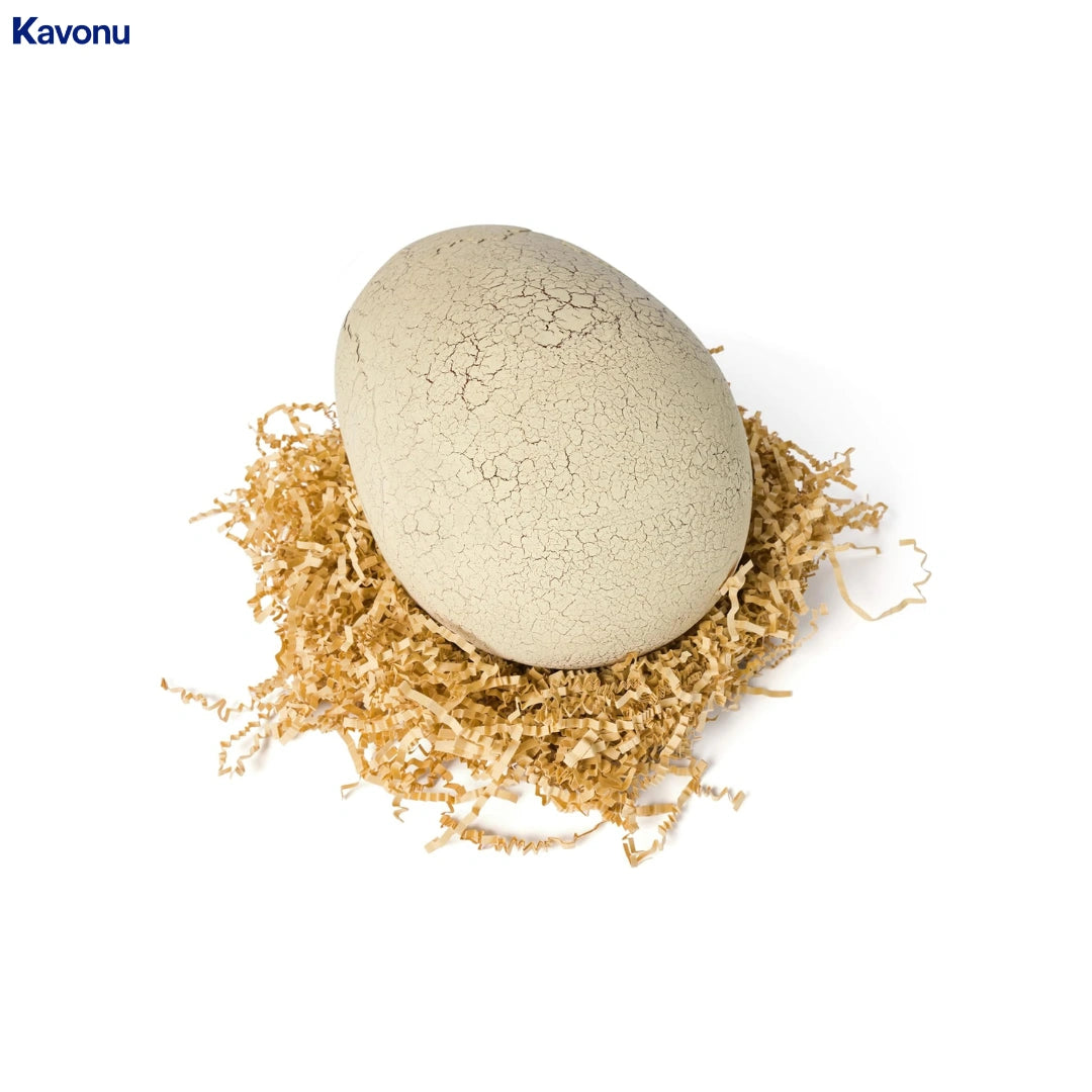 Kavonu™ - Dinosaur Hatching Egg